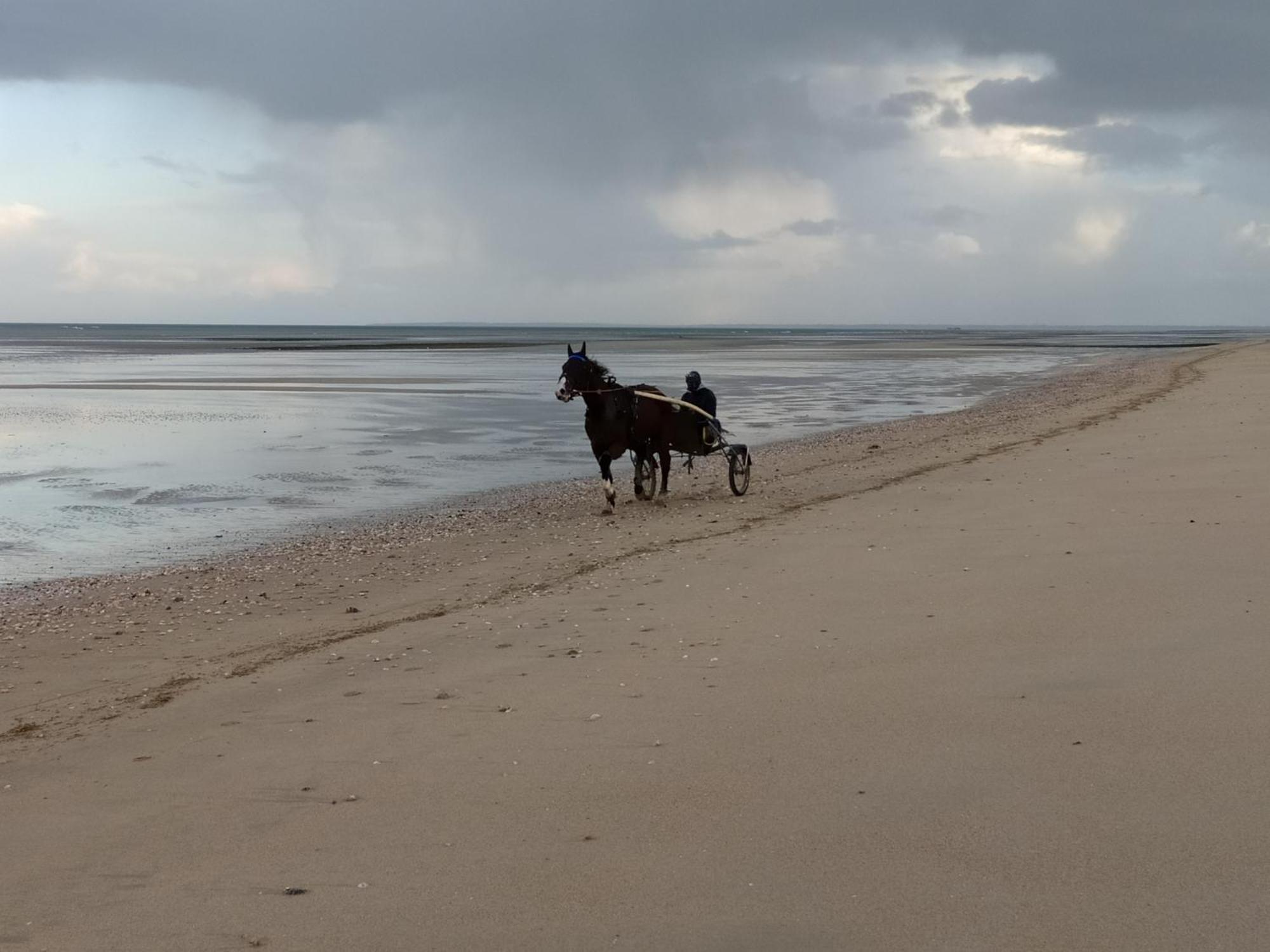 Gites "Plage" Ou "Pieds Dans L'Eau" En Front De Mer A Asnelles , 3Km D'Arromanches, 10Km De Bayeux Экстерьер фото